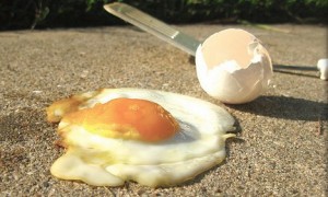 fried egg